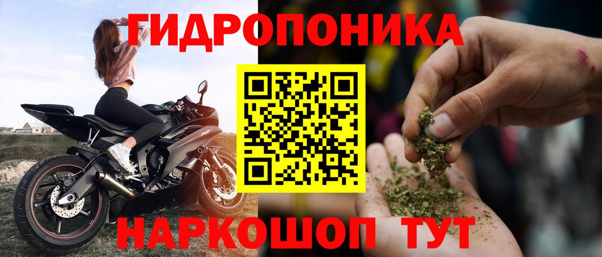 Бошки Шишки сатива Кемерово